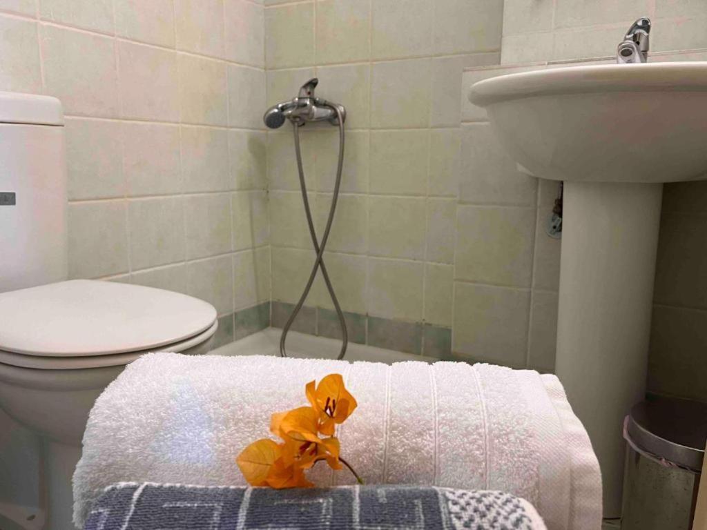 Kastro Aggeliki Apartment Кардамили Екстериор снимка